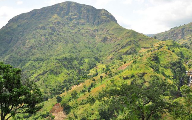 4 Days Usambara Trek