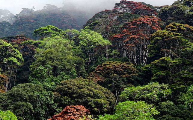 5 Days usambara Trek