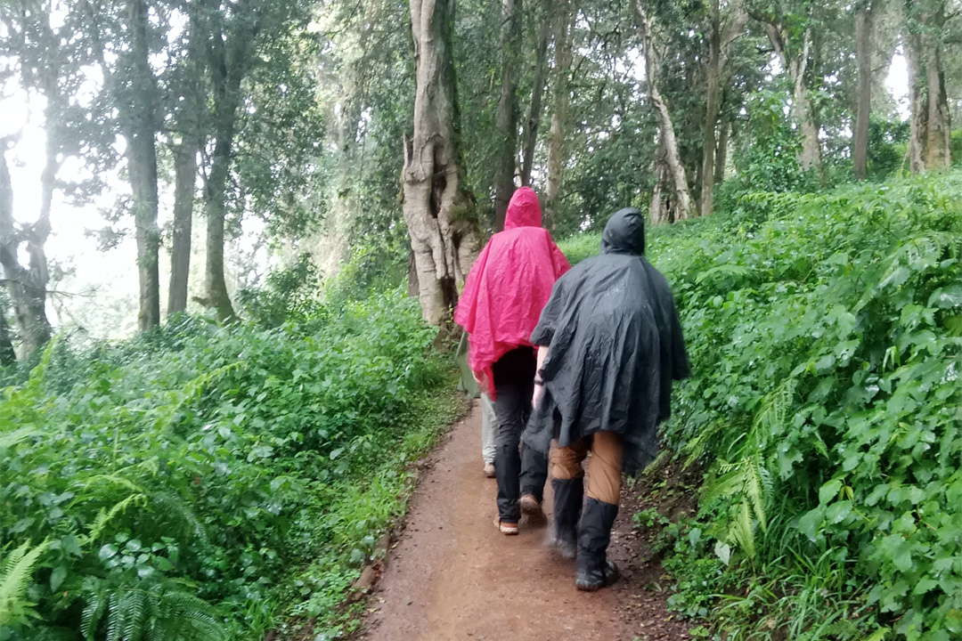 6 Days Machame Route