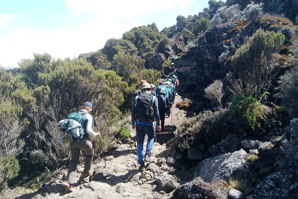 7 DAYS MACHAME ROUTE