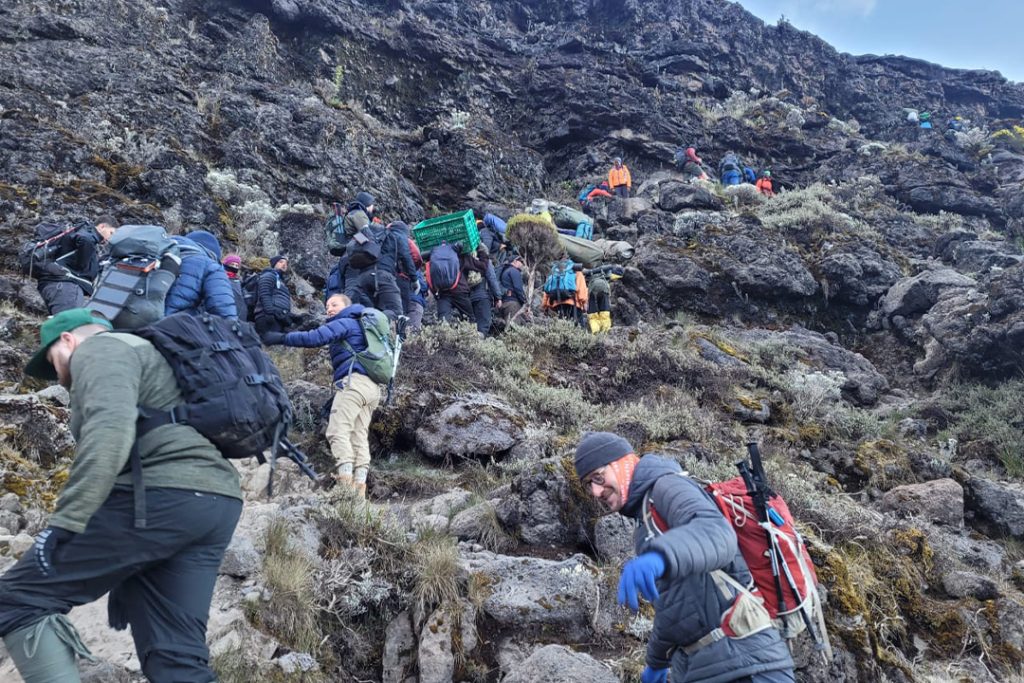 7 Days Lemosho Route