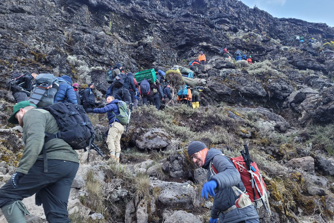 7 Days Lemosho Route