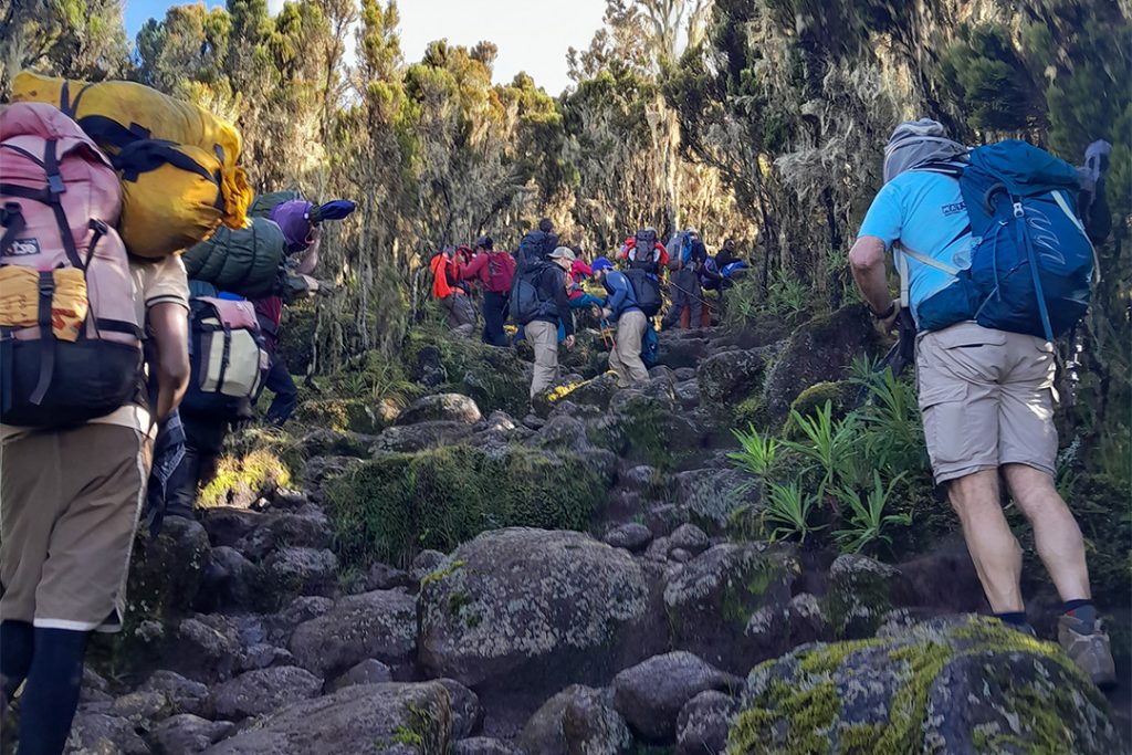 7 days machame route