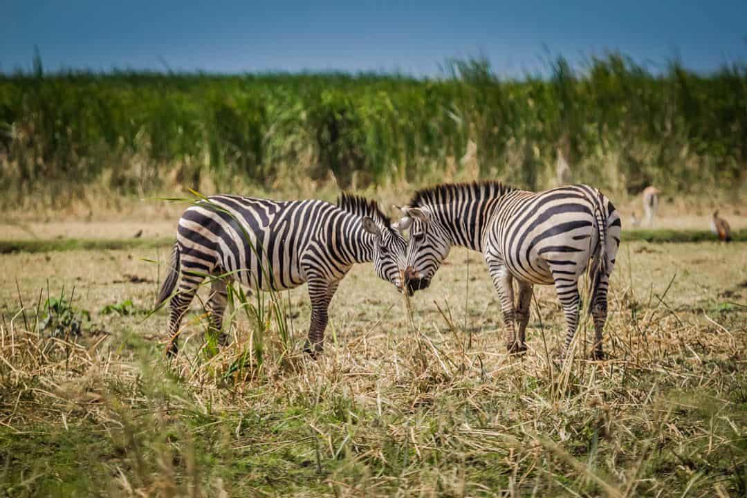Tanzania Destinations